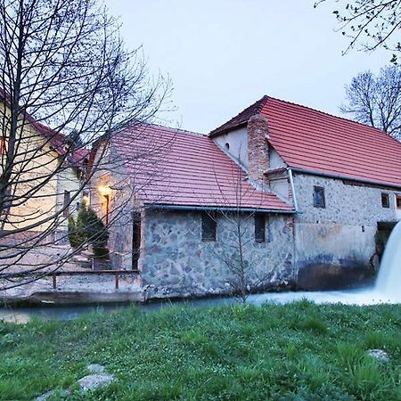 Moara De Piatra Ξενοδοχείο Carta  Εξωτερικό φωτογραφία