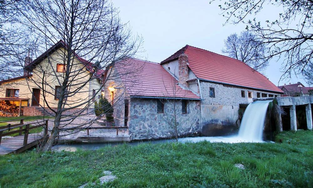 Moara De Piatra Ξενοδοχείο Carta  Εξωτερικό φωτογραφία